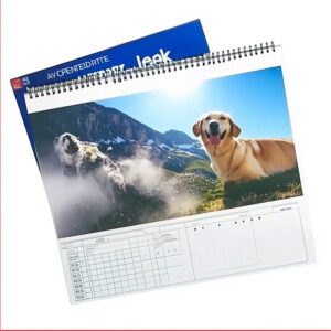 2025 Yearly Monthly Wall Calendar with Logo Style Custom Design Calendar