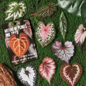 10-Piece Plant and Green Leaf Decorative Sticker Pack