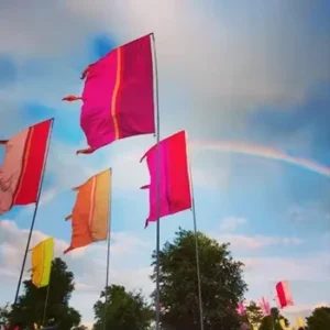 100% Polyester Outdoor Colorful Custom Festival Flag