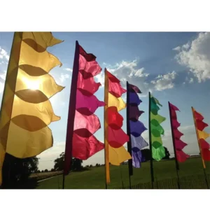 100% Polyester Outdoor Decoration Colorful Banner Custom Festival Flag