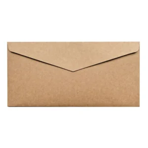 120g Kraft Paper Envelope, 22 x 11 cm, Blank, Custom Logo Design