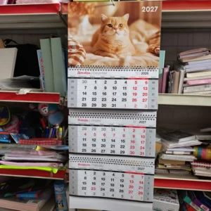 19*29.5cm Colorful Printed Foldable 15-Month Paper Hanging Wall Calendar Cat 3 Calendars Office Family