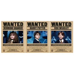 3D Lenticular Anime Motion Wall Decor Poster