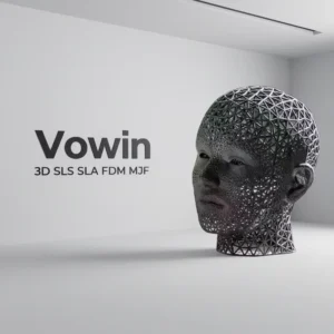 3D Printing Service with SLA Resin Nylon Metal Mold Painting and CNC Processing, STL STEP Iges Xtp Support