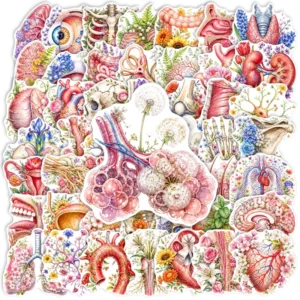 50PCS Medical Themed Anatomical Floral Human Organ Sticker