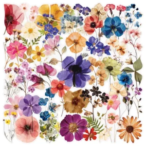 50PCS Waterproof Unfading Plant Transparent Dried Flower Stickers