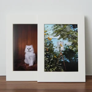 Acid-Free Cardboard Photo and Art Display Poster