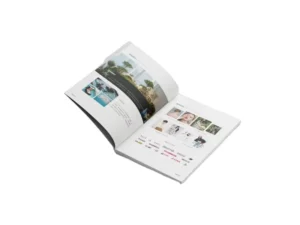 Album company brochure production company brochure book magazine product manual printing