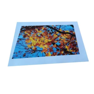 Art Paper Photo Paper Label A4 A3 Size Poster Printing for Shop