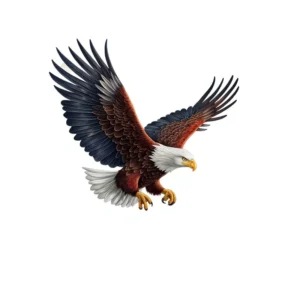 Bald Eagle Car Body Sticker for Cars, Motorcycles and Laptops, Model A332