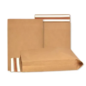 Biodegradable Kraft Paper Cardboard Mailing Envelope Bag for Clothing