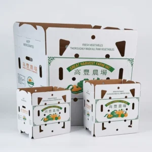 Biodegradable Wax-Dipped FDA-Compliant Waterproof Corrugated Carton Anti-Curl Heat-Resistant Moisture-Proof for Frozen Products