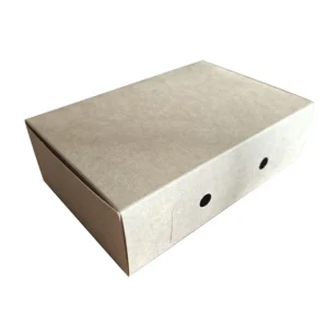 Blank Natural Kraft Cardboard E-Commerce Mailer Box Auto-Lock Bottom Foldable