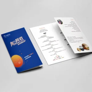 & Booklet Custom Brochure Flyer Printing Folded Leaflet Printing Digital Printing Film Lamination Paper & Paperboard Zisheng