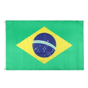 Brazilian Championship Rectangle Polyester Cheering Flag with Stainless Steel Flagpole