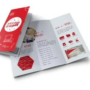 Brochure Flyer Leaflet Catalogue Booklet Printing Instruction