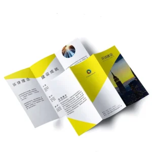 Brochure Flyer Pamphlet Printing Service A5 Digital Hang Tag Leaflet Printing