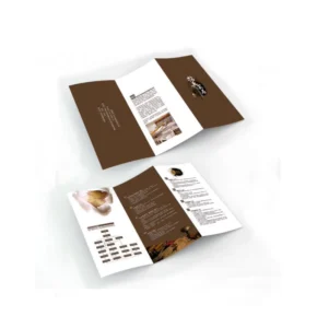 Brochure Printing Design Service Trifold Z-Fold Custom Foldable Map Slit Flyers Booklets Offset Printed Duplex