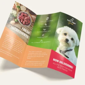 Brochure Printing Flyer Pamphlet Leaflet Service A5 Courier Pamphlets Design Digital Hang Tags Leaflets Printer Flyers