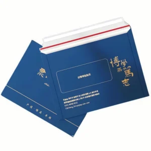 CC0520 Custom Printed Logo Kraft Paper Gift and Business Card Rigid Cardboard Mailer Envelope