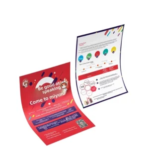 Card Album Printing Brochure Custom Printing Adhesive Sticker Color Page Folded Leaflet Instruction Manual Paper Printed
