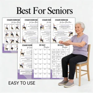 Chair Exercise Printable Posters for Seniors Low Impact Workout Charts (8-Piece Set)