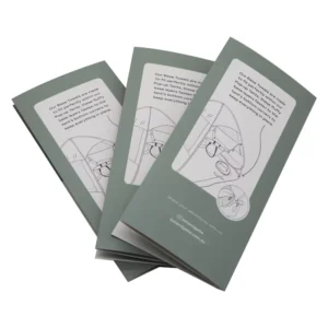 China Factory Custom Recycled Paper Brochure and Business Flyer Printing
