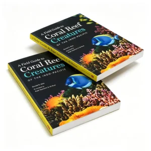 China Manufacturer OEM Customized Art Paper Perfect Binding Softcover Book & Magazine Printing Service