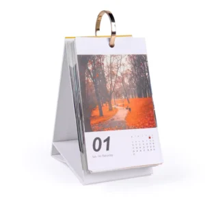 Colorful 365 Days Daily Tear off Desk Calendar with Ring Binding Customizable Paper Table Calendar and UV Printing