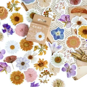 Creative Decorative Stickers for Scrapbooking and DIY Projects