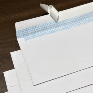 Custom #10 Security Self-Seal Mailing Envelopes, Windowless