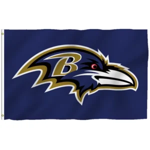 Custom 3x5ft Team Banner 100% Polyester Sports Flag Aluminum Digital Printing