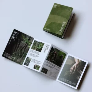 Custom 4-Fold Catalogue Flyer Leaflet and Brochure Printing for Product Advertising