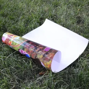 Custom A0 A1 A2 A3 A4 Waterproof PP Self-Adhesive Digital Printing Eco-Friendly Modern Custom Shape Wall Posters 3*4