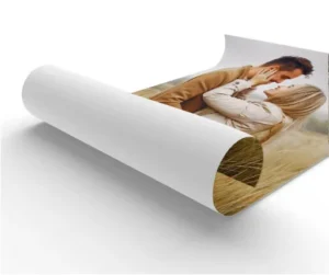 Custom A0 A2 A3 Digital Wall Poster Printing for Promotion