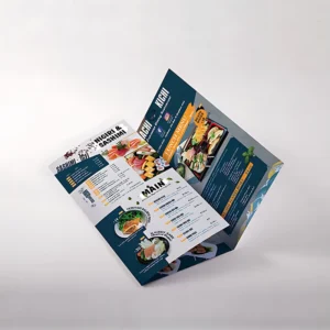 Custom A3 A4 A5 Brochure Leaflet Flyer Pamphlet Printing