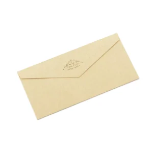 Custom A4/A3 Brown Kraft Paper Folding Envelopes for Invitations, Postcards, and Gifts