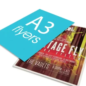 Custom A4 A5 A6 Marketing Flyer, Booklet, Leaflet, Manual, or Brochure Printing