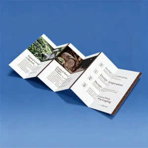 Custom A4/A5 Brochure Flyers Pamphlet Printing Service with Art/Coated Paper Offset & Digital Printing Custom Logo Design