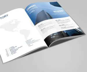 Custom A4 A5 Magazine Book Catalog Booklet Brochure Printing