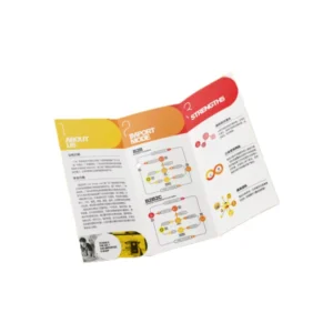 Custom A4 Booklet Catalog Leaflet Flyer Brochure Coated Art Paper Offset Printing Folded Binding