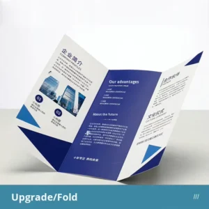 Custom A4 Color Corporate Brochures