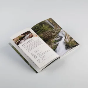 Custom A4 High Quality Offset Printing Full Color CMYK Fancy Cardboard Softcover Perfect Bound Brochure Art Gloss Coated
