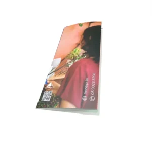 Custom A4 Trifold Brochure, Booklet, Leaflet or Flyer, Coated Art Paper, Offset Printing, Matte Lamination