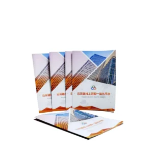 Custom A5 A4 Printing Paper Service Fold Flyer Booklet Brochure Catalog Colorful Specification Product Instruction Book