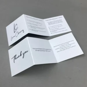 Custom Art Paper Flyers, Trifold Brochures, and Instruction Manual Printing