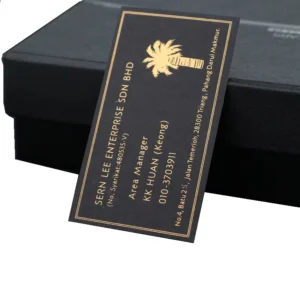Custom Black Cardboard Business Cards with Transfer Printing, Kraft Paper, and Duplex Board Options