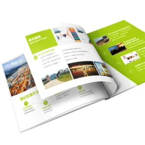 Custom Brochure Printing, Art Paper, Offset Printing, Saddle Stitching
