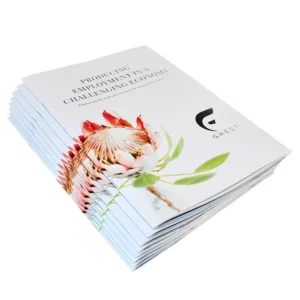 Custom Brochure Printing, Gloss Lamination, Art Paper and Coated Paper for Business Marketing