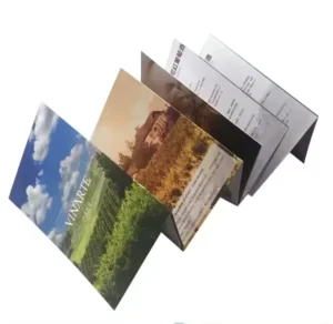 Custom Business Flyer Leaflet 157gsm Coated Paper Cardboard UV Printing Trifold Brochure